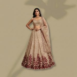 Elegant Emboidered Lehanga Set